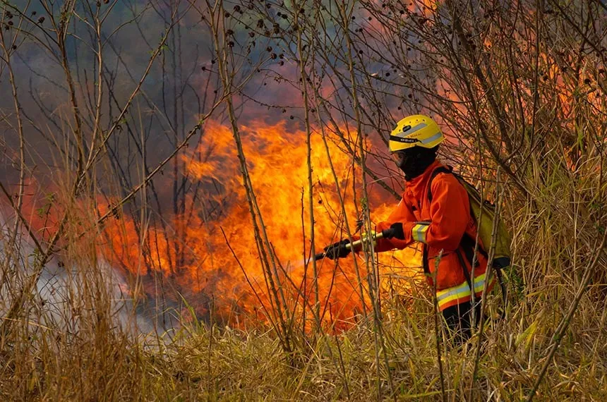 Imagem ilustrativa da imagem "Cenário é triste e desanimador", diz senadora sobre incêndios no Cerrado