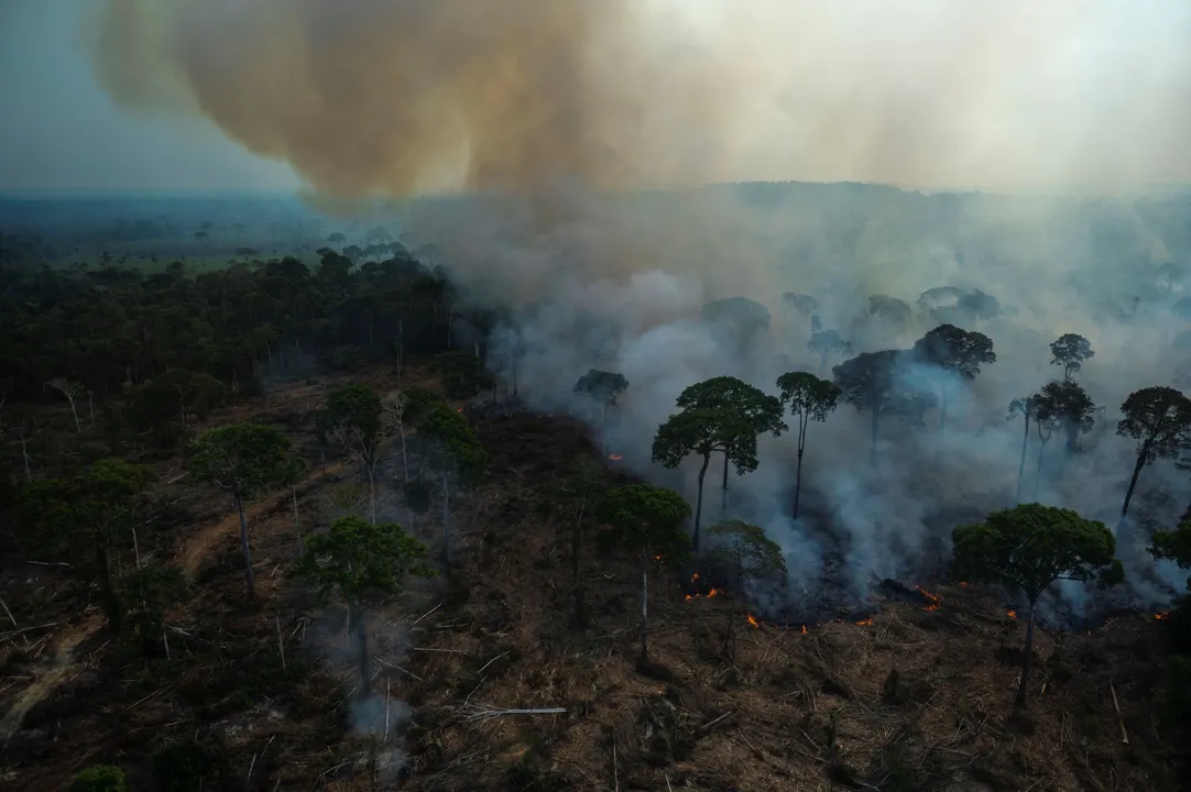 A área desmatada na Amazônia brasileira alcançou 877km2 em outubro