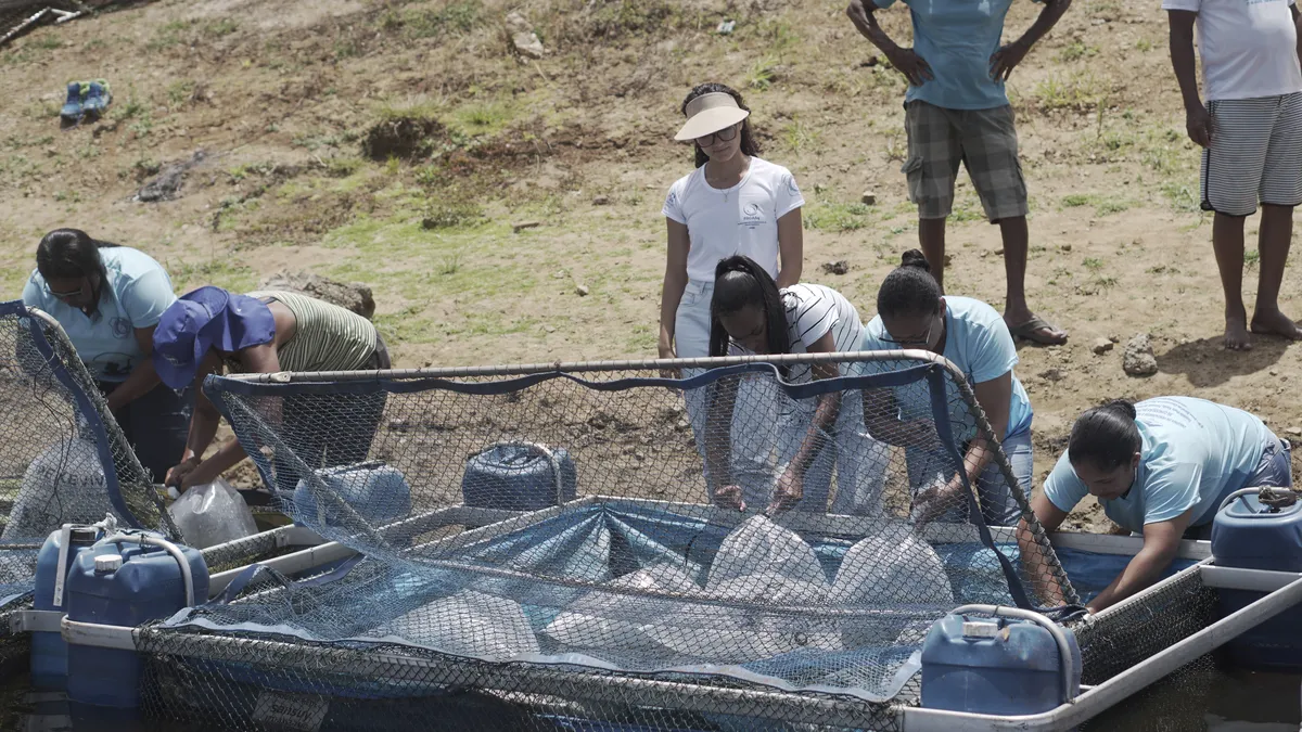 Colônia de pescadores na cidade de Conceição da Feira (BA)