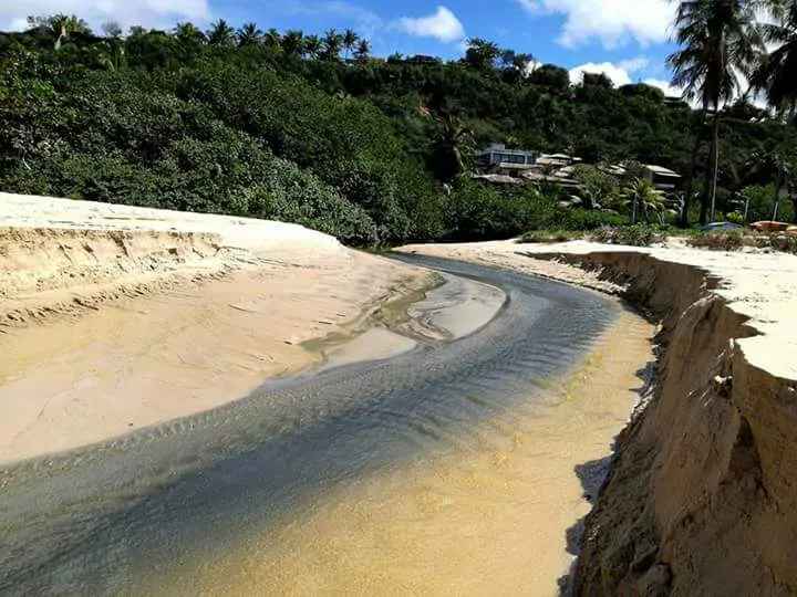 Imagem ilustrativa da imagem Comitê elege nova diretoria para tratar de recursos hídricos na Bahia