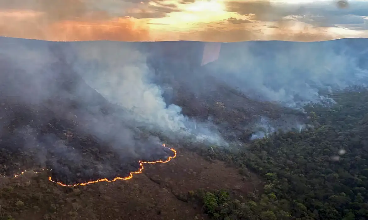 Imagem ilustrativa da imagem Dados do Inpe apontam que Brasil concentra 76% dos incêndios da América do Sul