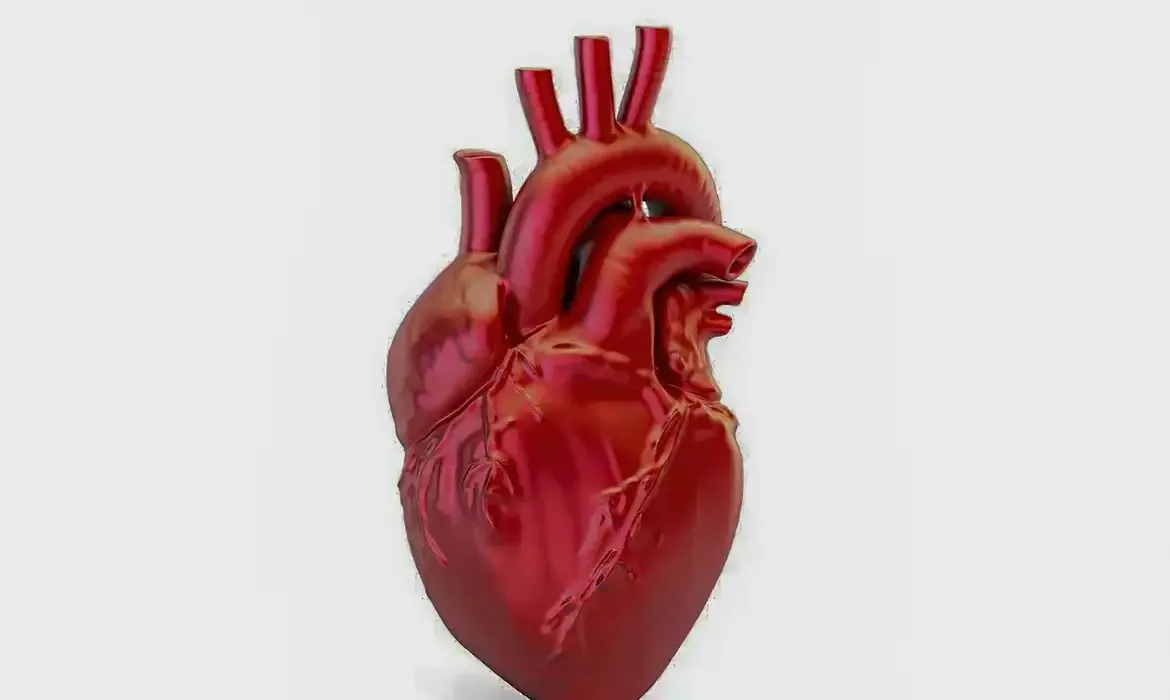 Imagem ilustrativa da imagem Doenças cardiovasculares matam 400 mil brasileiros por ano