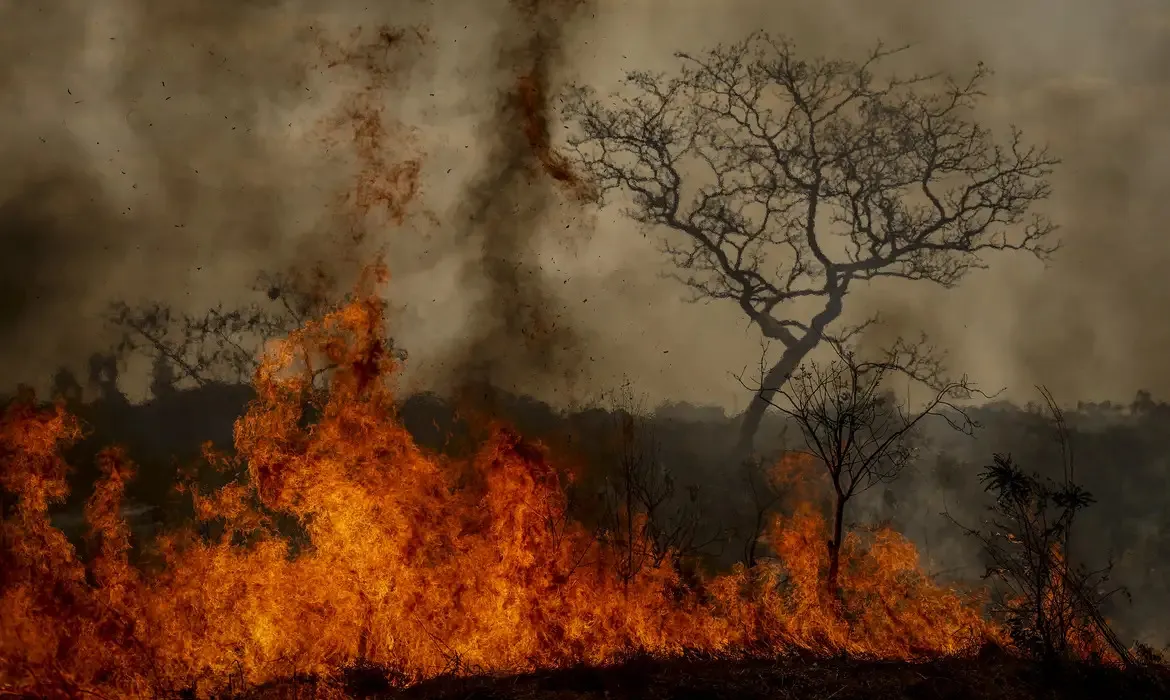 Imagem ilustrativa da imagem Dino convoca União e estados para discutir plano nacional contra incêndios