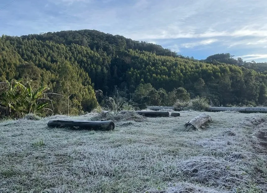 Paisagem de Monte Verde (MG) encoberta pela geada no último domingo