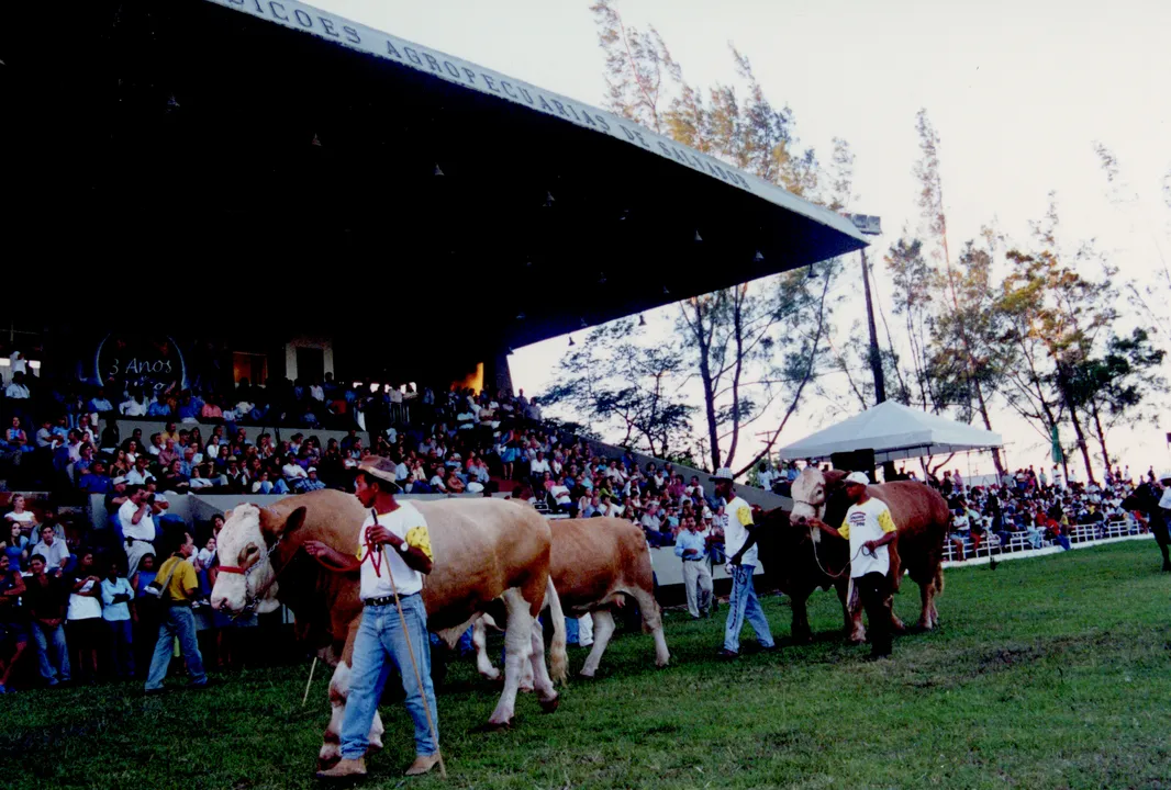 Em todas as edições da Fenagro, como a de 2002, os animais são as grandes estrelas