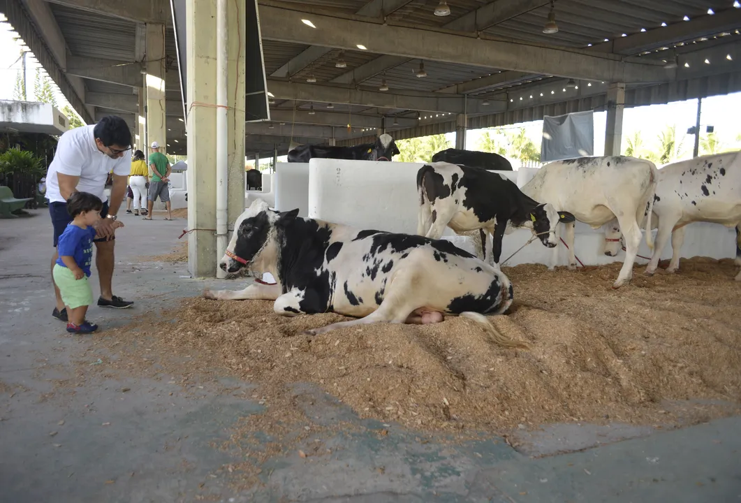 Fenagro será realizada no Parque de Exposições de Salvador