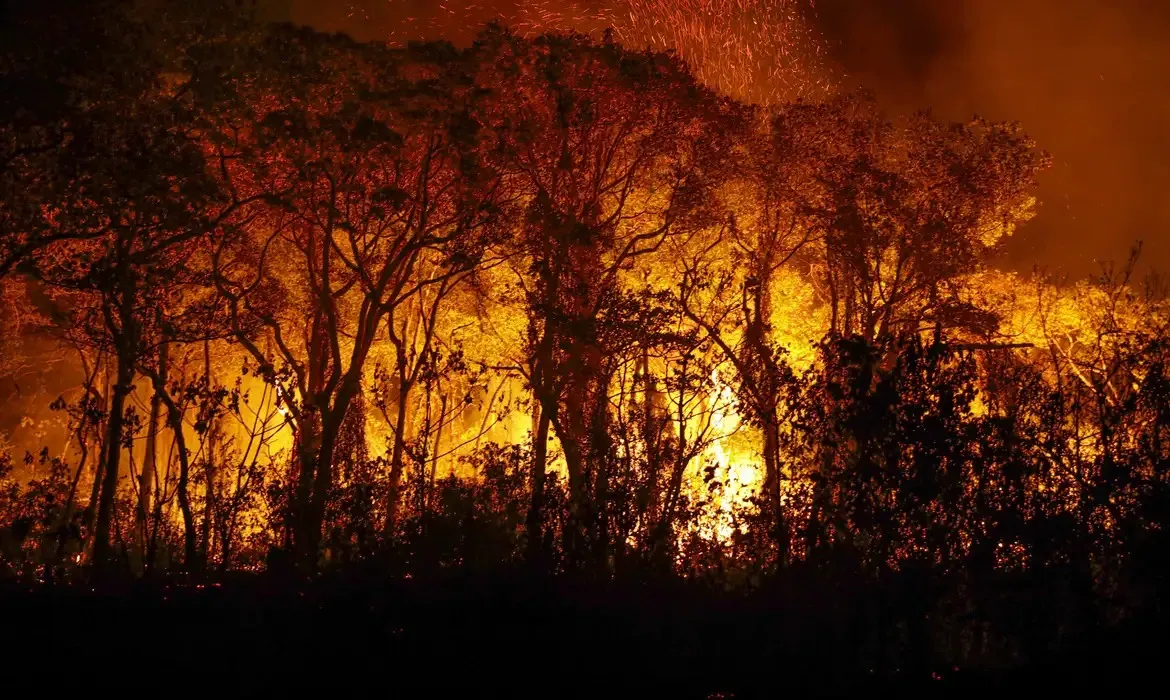 Os níveis de monóxido de carbono na atmosfera estão altos