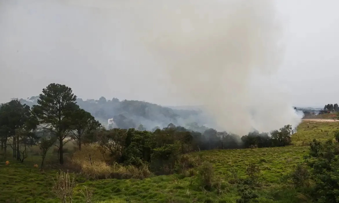 Fumaça gerada pelas chamas no interior paulista e em outras regiões tem sido carregada por ventos favoráveis para as regiões centrais do país