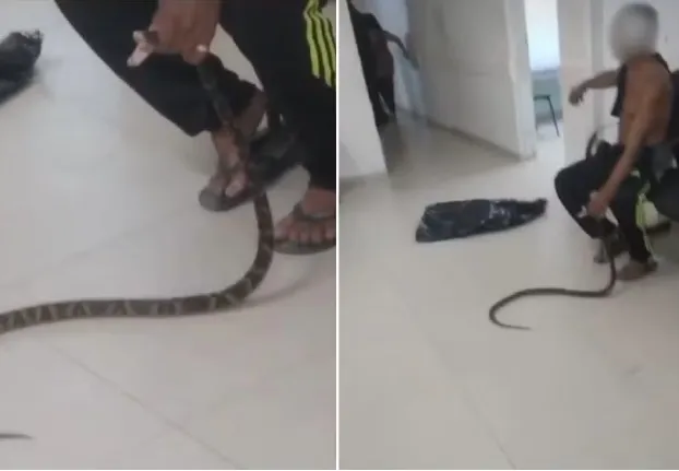 Homem com cobra na mão em UPA do interior de SP