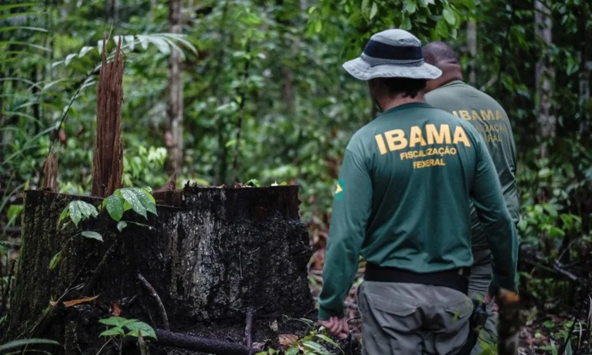 Os cargos são para analista administrativo e analista ambiental