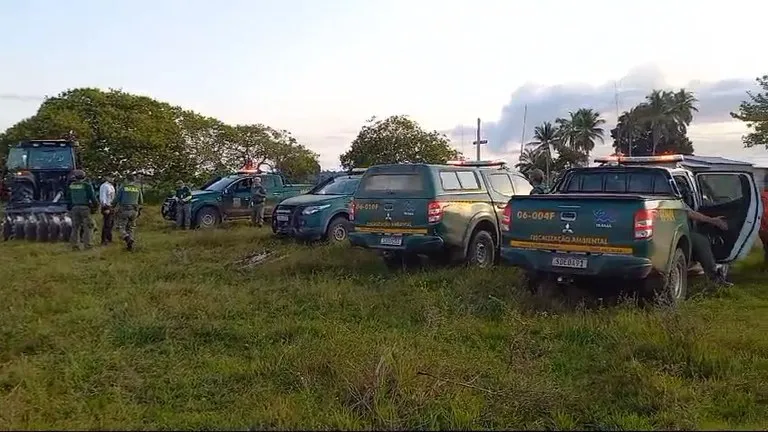 Ibama fez Operação Mata em Pé no sul da Bahia