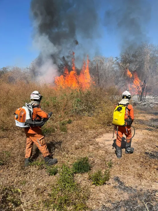 Imagem ilustrativa da imagem Incêndio na BA-160 em Bom Jesus da Lapa é monitorado pelos Bombeiros