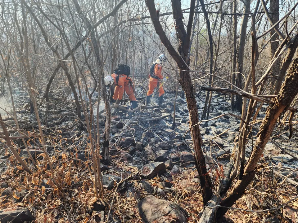 Imagem ilustrativa da imagem Incêndios florestais: bombeiros encaram missão humanitária na Bahia