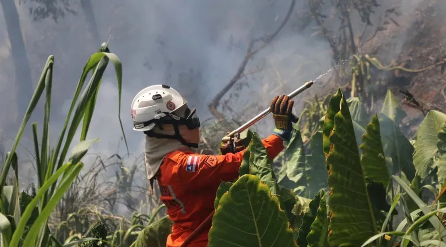 Nos últimos dois meses, 422 incêndios foram registrados em áreas ambientais na Bahia