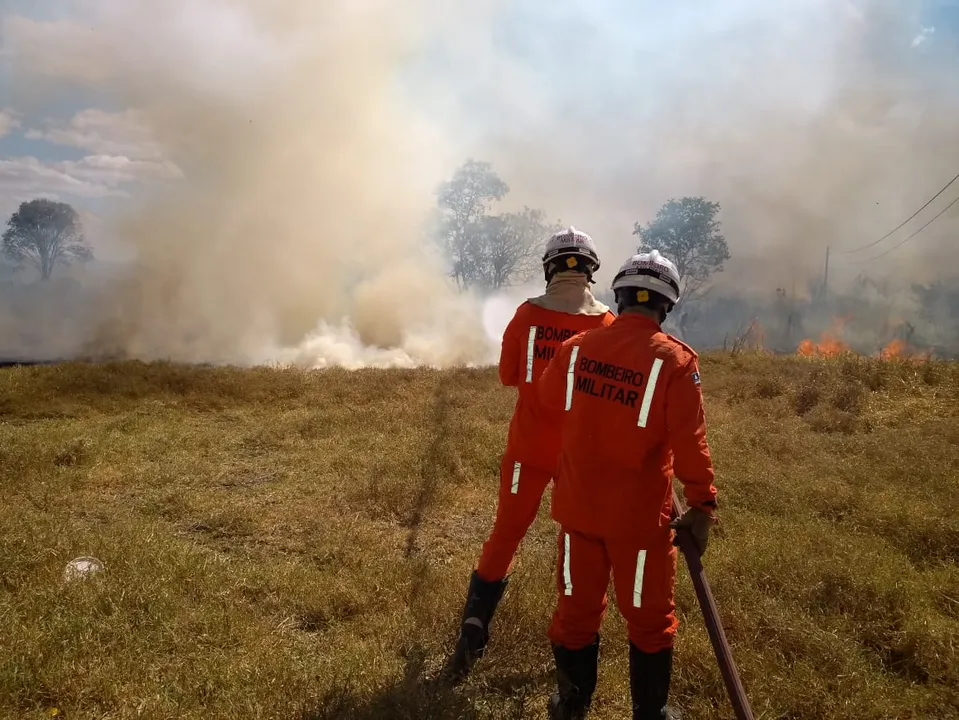 Imagem ilustrativa da imagem Incêndios florestais aumentam na Bahia