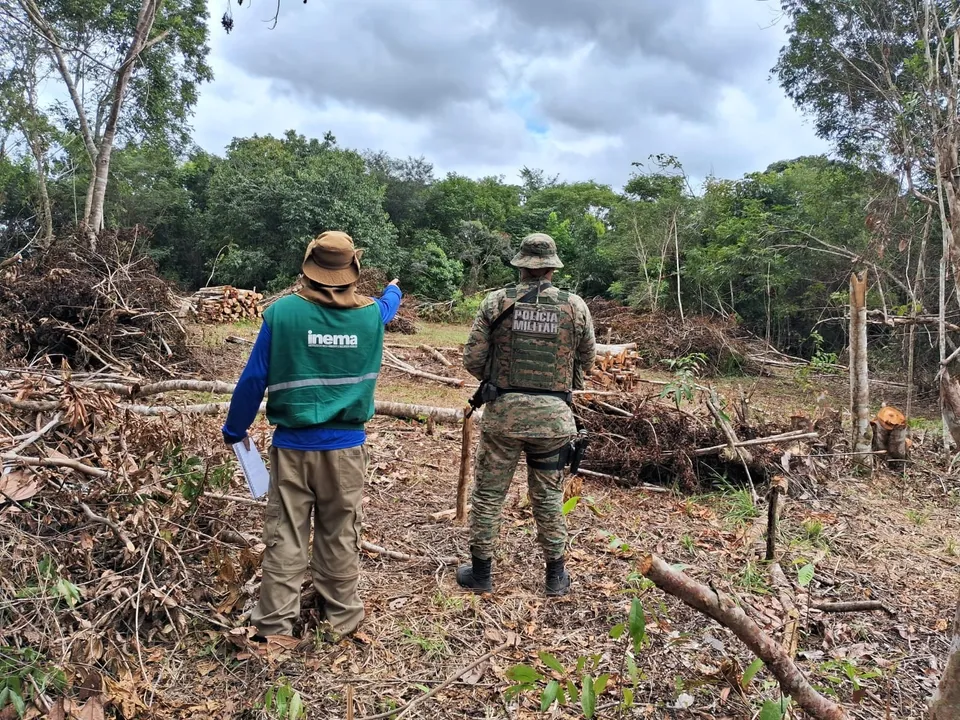 Além da Bahia, a operação aconteceu em outros 16 estados do país, com ocorrência do bioma Mata Atlântica