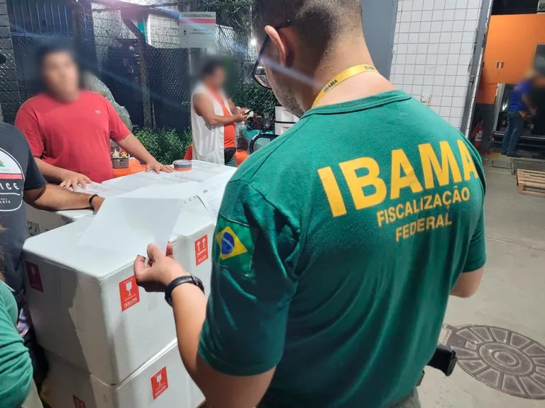 Operação foi deflarada pelo Ibama