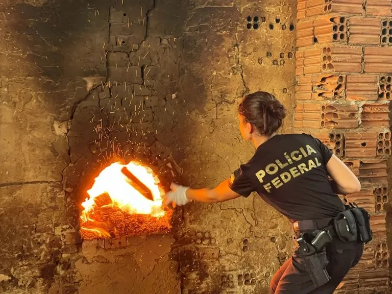 Imagem ilustrativa da imagem PF incinera 3,8 toneladas de drogas apreendidas em Salvador e RMS
