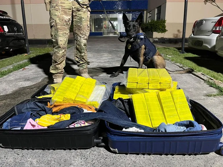 Polícia Rodoviária Federal encontraram 64 tabletes de maconha