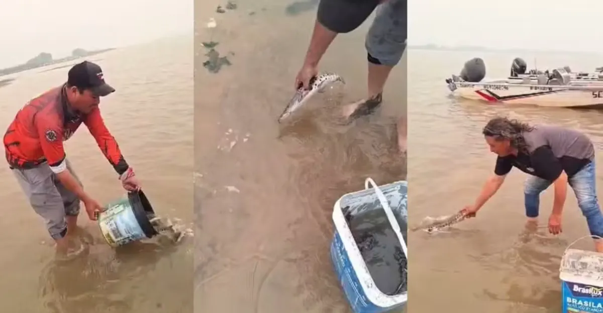 Pescadores salvam peixes que agonizavam se ar em lamaçal no Rio Paraguai