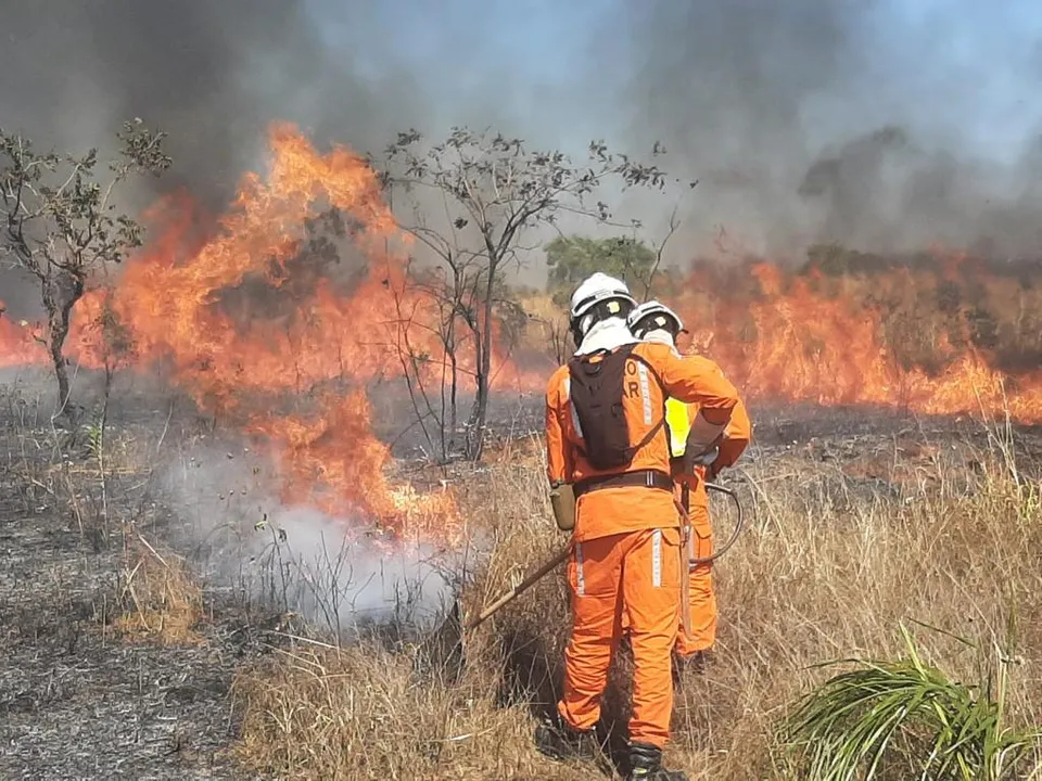 Na região Oeste estão concentrados os principais focos de incêndio florestal da Bahia