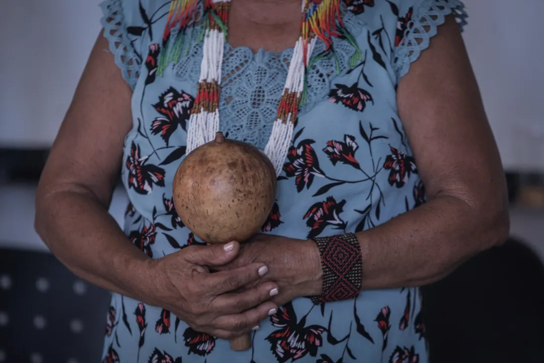 Imagem ilustrativa da imagem Saúde pública: acesso dos povos indígenas gera debate na Bahia