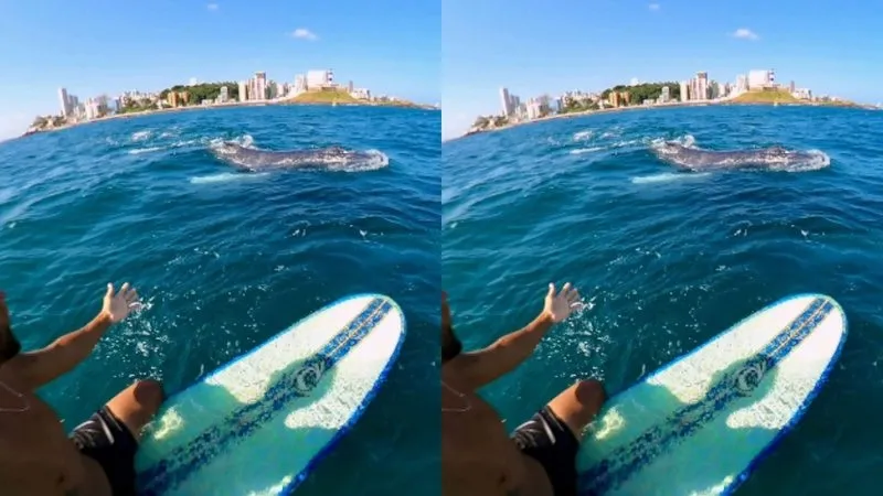 Surfista ficou muito feliz por fazer o registro na praia da Barra