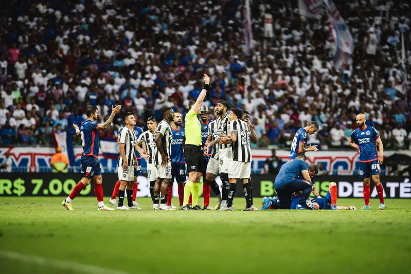 Momento em que Gregore, do Botafogo, é expulso