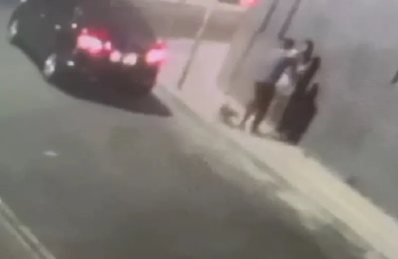 Imagem ilustrativa da imagem Vídeo: criminosos roubam cachorro no bairro da Graça e devolvem depois