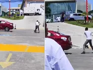 plantas foram encontradas durante uma ação preventiva da Polícia Militar