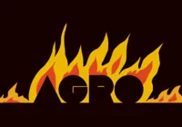 Charge do dia 29/08/2024