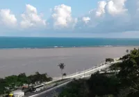 Estudo discute recuperação e conservação da vegetação nativa na Bahia