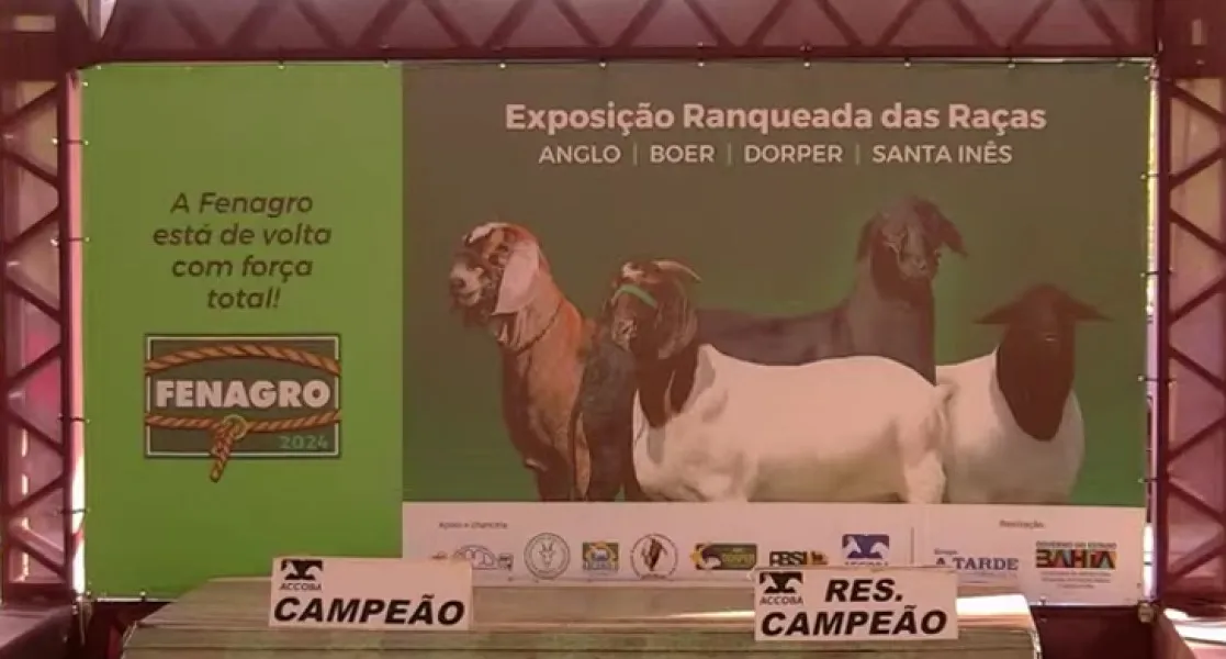 Evento promete revelar os melhores exemplares das espécies