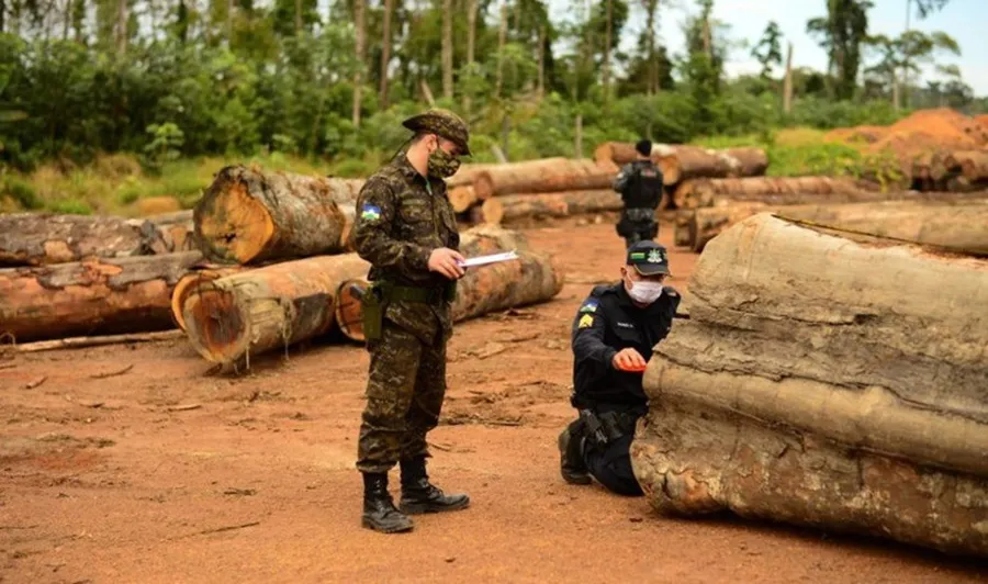 Números consideram as incidências de casos de crime ambiental no sistema prisional brasileiro