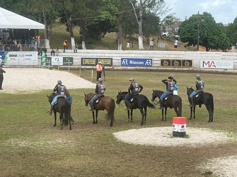 Campeonato de marcha geral de cavalos da Fenagro