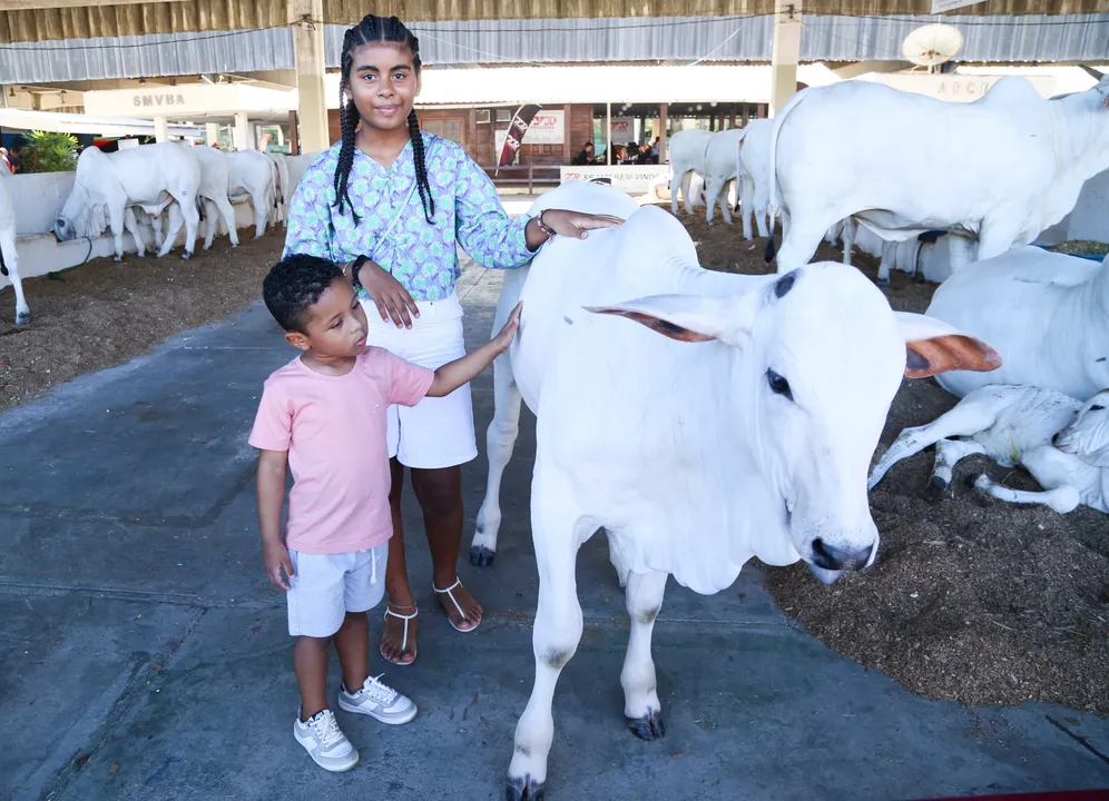 Experiência de fazer carinho e interagir com os animais tem se destacado como um dos momentos mais especiais do evento