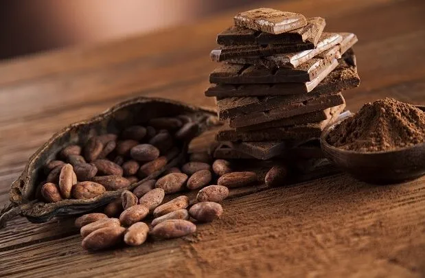 Imagem ilustrativa da imagem Chocolate Cabruca é campeão mundial
