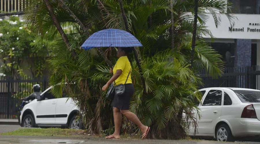 As temperaturas devem variar entre 24ºC e 29ºC