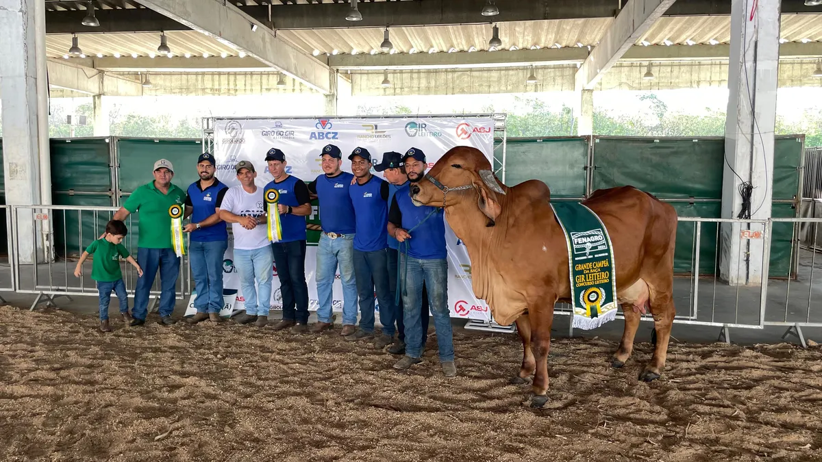 A grande campeã Gir Leiteira