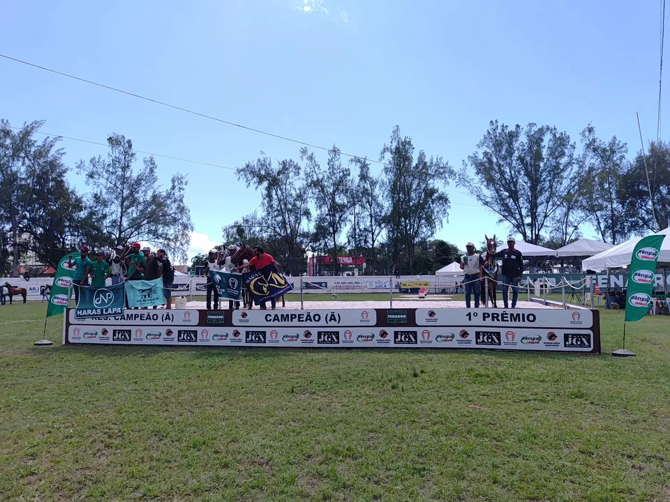 Resultado da Mangalarga Marchador Potra Junior de Marcha Picada