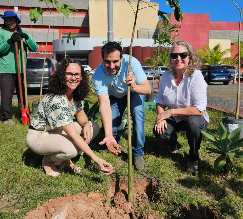 Mudas utilizadas no plantio, fornecidas pela Caetá Ambiental, contribuirão diretamente para a recuperação ambiental