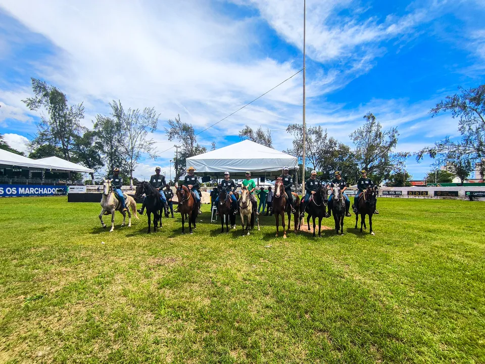 A capacitação, realizada pela Associação Brasileira dos Criadores do Cavalo Mangalarga Marchador (ABCCMM)