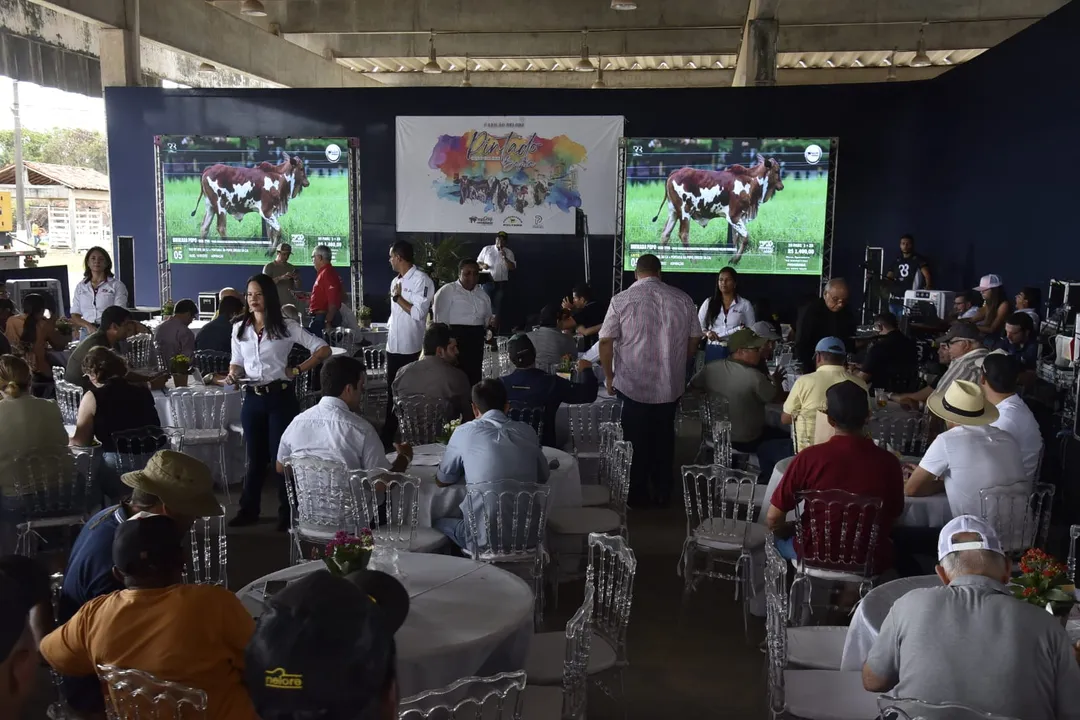 Leilão aconteceu no Parque de Exposições