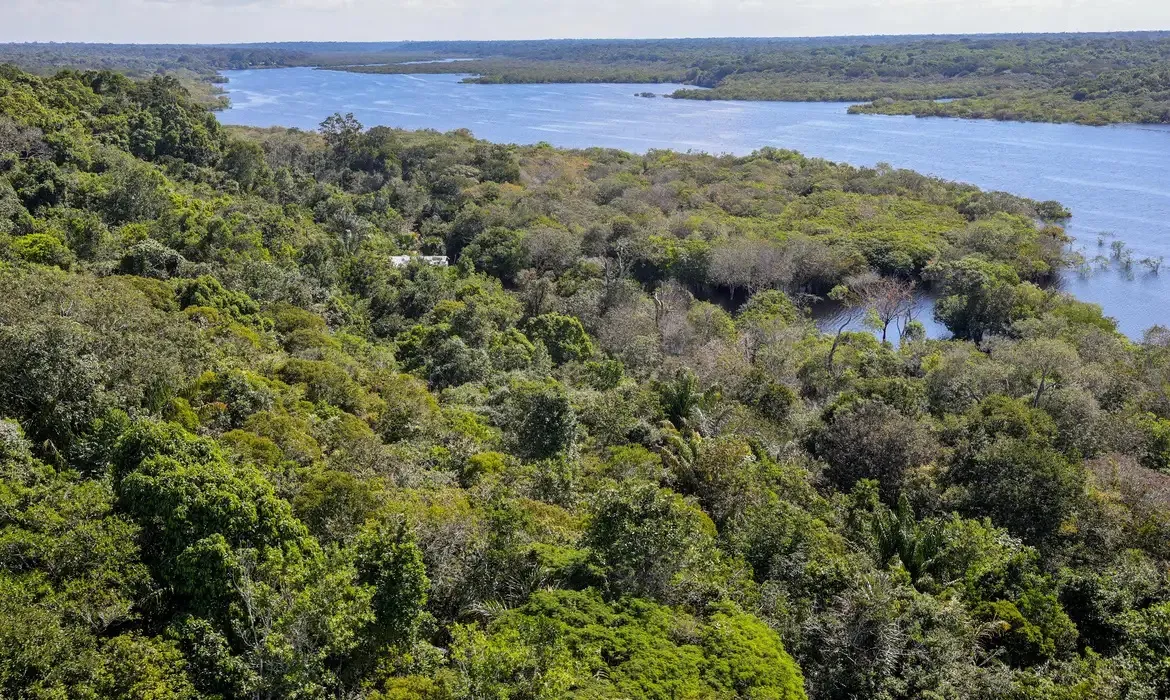 Dados são do Projeto de Monitoramento do Desmatamento na Amazônia Legal por Satélite (Prodes)