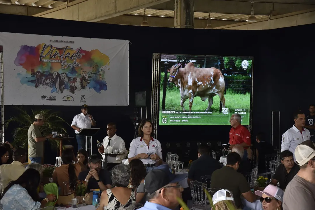 Leilão contou com animais de vários estados