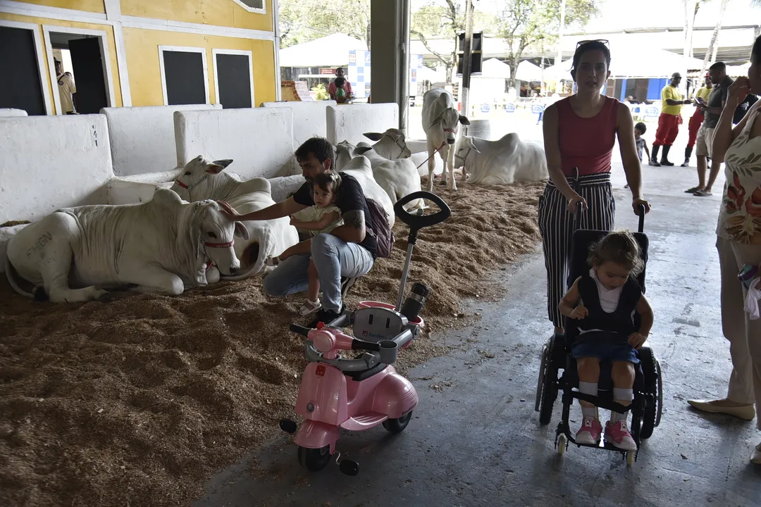 Com a presença de mais de 3 mil animais entre equinos, caprinos e ovinos e 600 expositores, os visitantes poderão ter acesso ao espaço das 9h às 20h