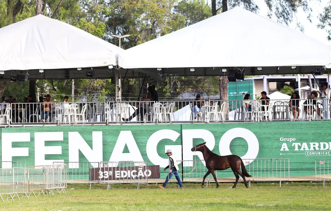 A 33ª edição da Fenagro, maior feira agropecuária do Norte e Nordeste, está movimentando o Parque de Exposições de Salvador