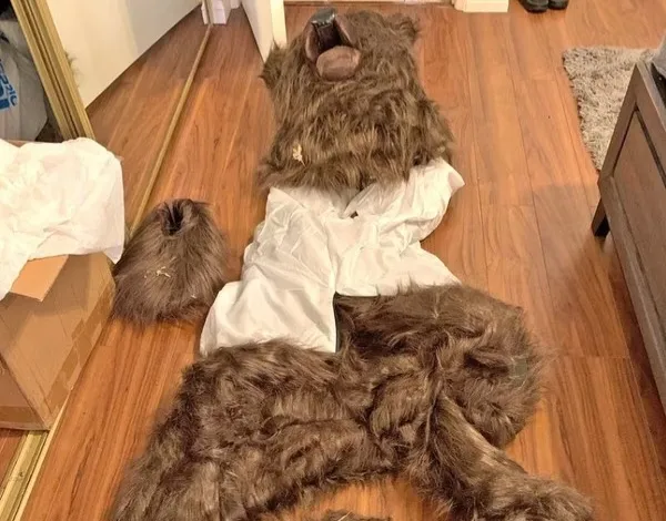 Fantasia de urso encontrada na casa de um dos suspeitos