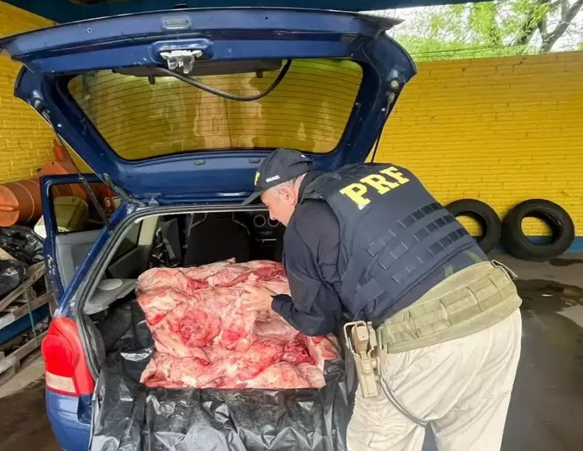 Imagem ilustrativa da imagem Motorista é preso com 300 kg de carne de capivara dentro de carro