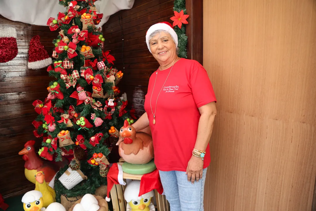 Imagem ilustrativa da imagem Já é Natal na Fenagro: projeto Casa do Papai Noel é um dos destaques da feira